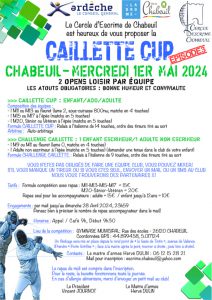 Caillette Cup : équipes enfants adultes loisir @ Gymnase municipal - CHABEUIL